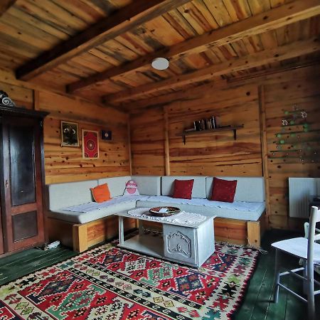 Chalet Belino Sokace Užice Exteriér fotografie