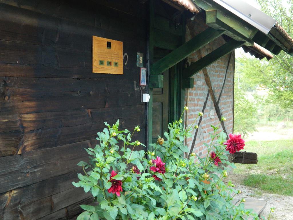 Chalet Belino Sokace Užice Exteriér fotografie