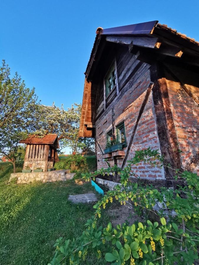 Chalet Belino Sokace Užice Exteriér fotografie