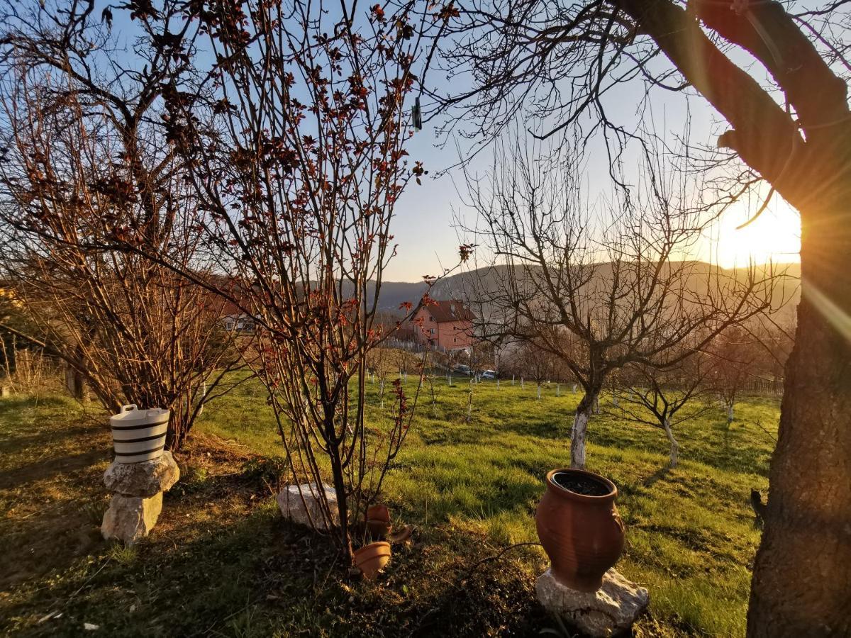 Chalet Belino Sokace Užice Exteriér fotografie