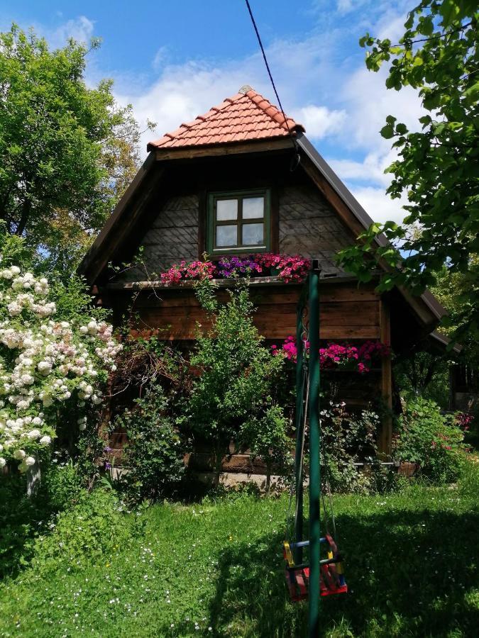 Chalet Belino Sokace Užice Exteriér fotografie